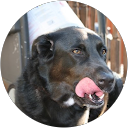 Becky Rohrback Becky Rohrback