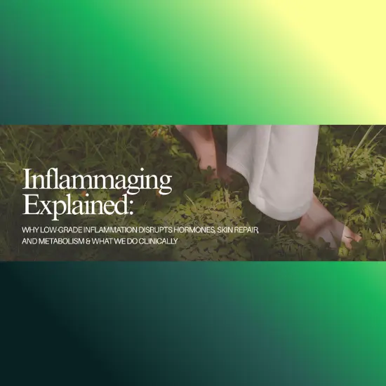 Inflammaging explained blog