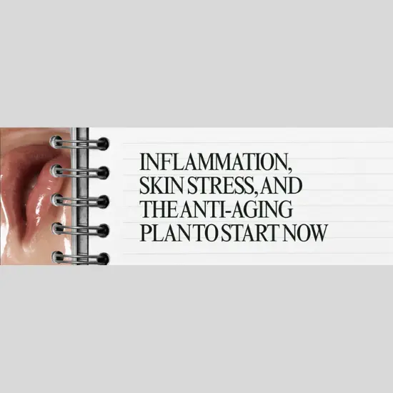 skin inflammation and aging